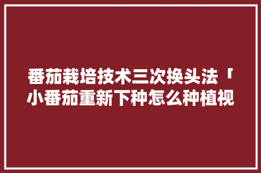 番茄栽培技术三次换头法「小番茄重新下种怎么种植视频」 番茄栽培技术三次换头法「小番茄重新下种怎么种植视频」 植物种类