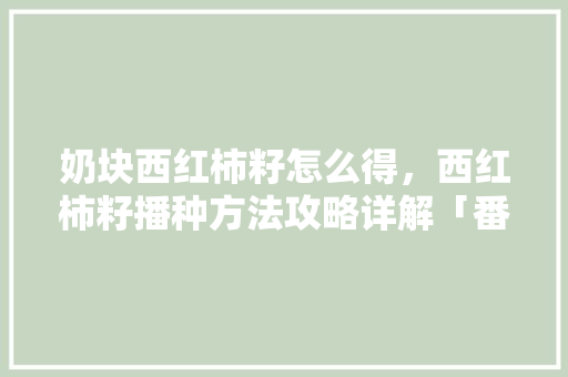奶块西红柿籽怎么得，西红柿籽播种方法攻略详解「番茄怎么种植奶块视频」 奶块西红柿籽怎么得，西红柿籽播种方法攻略详解「番茄怎么种植奶块视频」 农业常识