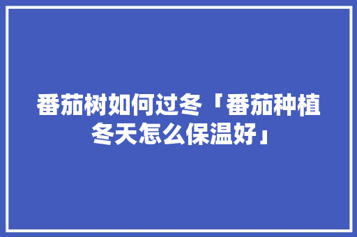番茄树如何过冬「番茄种植冬天怎么保温好」 番茄树如何过冬「番茄种植冬天怎么保温好」 农业常识