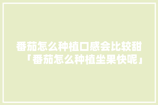 番茄怎么种植口感会比较甜「番茄怎么种植坐果快呢」 番茄怎么种植口感会比较甜「番茄怎么种植坐果快呢」 植物种类