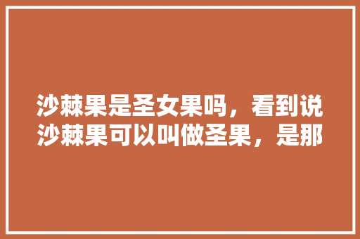 沙棘果是圣女果吗,看到说沙棘果可以叫做圣果,是那种小番茄吗,有一种小番茄就叫圣女果,请问一样吗「怎么种植红圣果番茄种子」 植物种类 沙棘果是圣女果吗,看到说沙棘果可以叫做圣果,是那种小番茄吗,有一种小番茄就叫圣女果,请问一样吗「怎么种植红圣果番茄种子」 沙棘果是圣女果吗,看到说沙棘果可以叫做圣果,是那种小番茄吗,有一种小番茄就叫圣女果,请问一样吗「怎么种植红圣果番茄种子」 植物种类