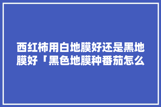 西红柿用白地膜好还是黑地膜好「黑色地膜种番茄怎么种植的」 西红柿用白地膜好还是黑地膜好「黑色地膜种番茄怎么种植的」 植物种类
