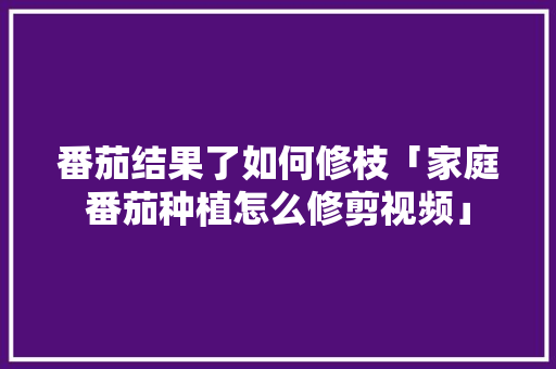 番茄结果了如何修枝「家庭番茄种植怎么修剪视频」 番茄结果了如何修枝「家庭番茄种植怎么修剪视频」 番茄种植技巧