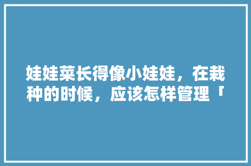 娃娃菜长得像小娃娃，在栽种的时候，应该怎样管理「花箱种植番茄怎么种植好呢」 娃娃菜长得像小娃娃，在栽种的时候，应该怎样管理「花箱种植番茄怎么种植好呢」 番茄种植技巧
