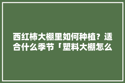 西红柿大棚里如何种植？适合什么季节「塑料大棚怎么种植番茄视频」 西红柿大棚里如何种植？适合什么季节「塑料大棚怎么种植番茄视频」 土壤施肥