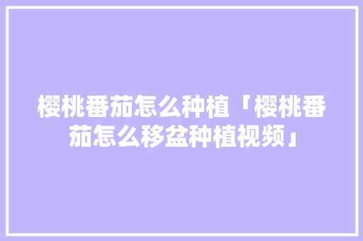 樱桃番茄怎么种植「樱桃番茄怎么移盆种植视频」 樱桃番茄怎么种植「樱桃番茄怎么移盆种植视频」 番茄种植技巧