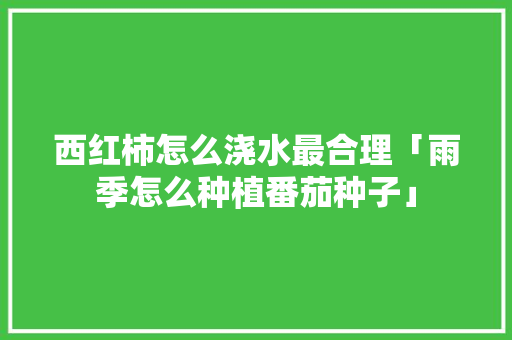 西红柿怎么浇水最合理「雨季怎么种植番茄种子」 西红柿怎么浇水最合理「雨季怎么种植番茄种子」 种植技巧