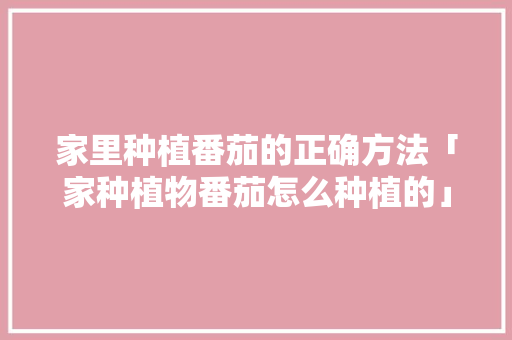 家里种植番茄的正确方法「家种植物番茄怎么种植的」 土壤施肥 家里种植番茄的正确方法「家种植物番茄怎么种植的」 家里种植番茄的正确方法「家种植物番茄怎么种植的」 土壤施肥