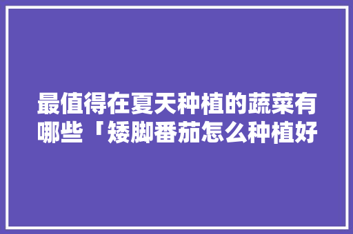 最值得在夏天种植的蔬菜有哪些「矮脚番茄怎么种植好呢视频」 最值得在夏天种植的蔬菜有哪些「矮脚番茄怎么种植好呢视频」 农业常识