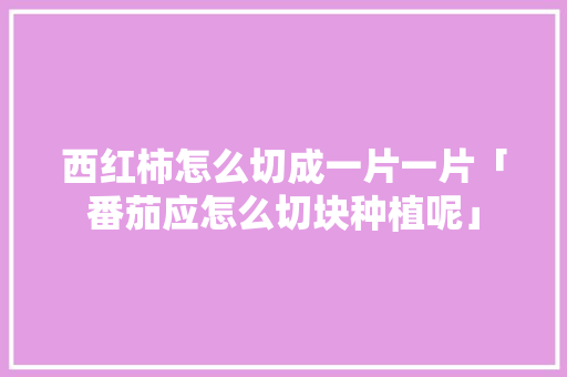 西红柿怎么切成一片一片「番茄应怎么切块种植呢」 西红柿怎么切成一片一片「番茄应怎么切块种植呢」 植物种类