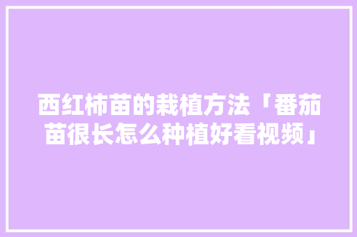 西红柿苗的栽植方法「番茄苗很长怎么种植好看视频」 西红柿苗的栽植方法「番茄苗很长怎么种植好看视频」 植物种类