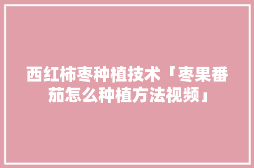 西红柿枣种植技术「枣果番茄怎么种植方法视频」 西红柿枣种植技术「枣果番茄怎么种植方法视频」 番茄病虫害防治