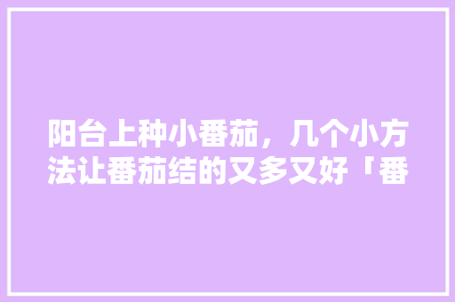 阳台上种小番茄，几个小方法让番茄结的又多又好「番茄怎么种植结得更好呢视频」 阳台上种小番茄，几个小方法让番茄结的又多又好「番茄怎么种植结得更好呢视频」 土壤施肥