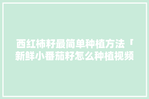 西红柿籽最简单种植方法「新鲜小番茄籽怎么种植视频」 西红柿籽最简单种植方法「新鲜小番茄籽怎么种植视频」 植物种类