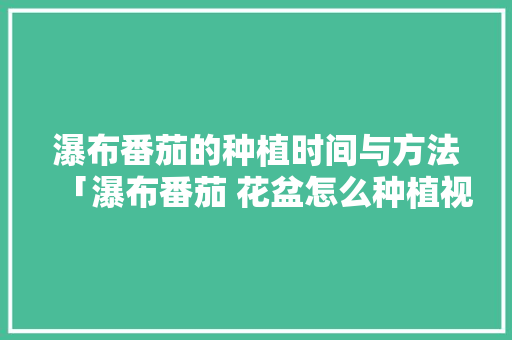 瀑布番茄的种植时间与方法「瀑布番茄 花盆怎么种植视频」 瀑布番茄的种植时间与方法「瀑布番茄 花盆怎么种植视频」 农业常识