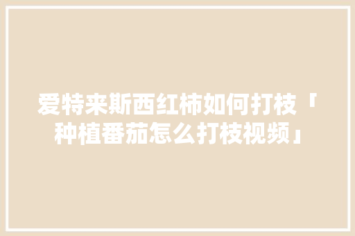 爱特来斯西红柿如何打枝「种植番茄怎么打枝视频」 爱特来斯西红柿如何打枝「种植番茄怎么打枝视频」 花朵知识