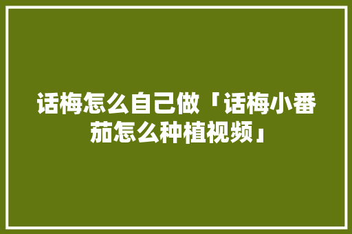 话梅怎么自己做「话梅小番茄怎么种植视频」