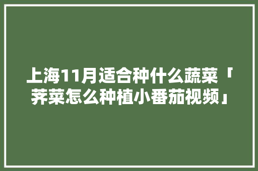 上海11月适合种什么蔬菜「荠菜怎么种植小番茄视频」 上海11月适合种什么蔬菜「荠菜怎么种植小番茄视频」 土壤施肥