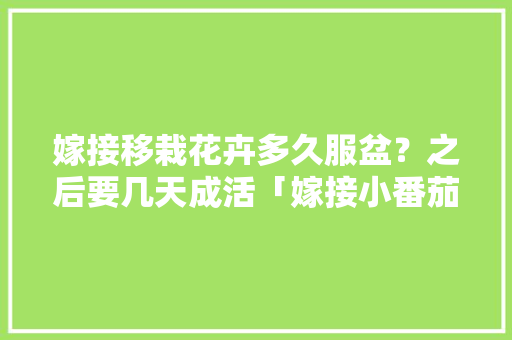 嫁接移栽花卉多久服盆？之后要几天成活「嫁接小番茄怎么种植视频教程」