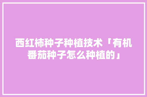 西红柿种子种植技术「有机番茄种子怎么种植的」 花朵知识 西红柿种子种植技术「有机番茄种子怎么种植的」 西红柿种子种植技术「有机番茄种子怎么种植的」 花朵知识