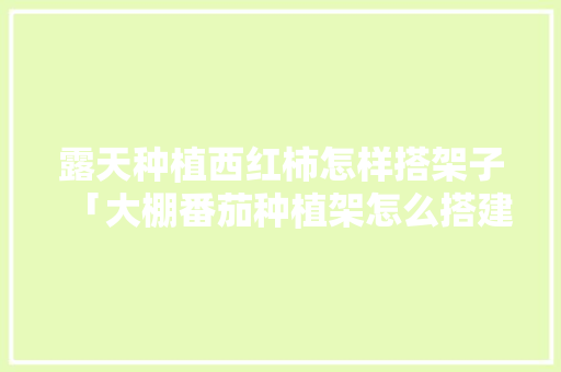 露天种植西红柿怎样搭架子「大棚番茄种植架怎么搭建视频」 露天种植西红柿怎样搭架子「大棚番茄种植架怎么搭建视频」 种植技巧