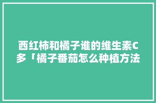 西红柿和橘子谁的维生素C多「橘子番茄怎么种植方法视频」