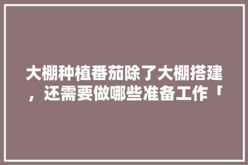 大棚种植番茄除了大棚搭建，还需要做哪些准备工作「番茄不用大棚怎么种植视频」 大棚种植番茄除了大棚搭建，还需要做哪些准备工作「番茄不用大棚怎么种植视频」 植物种类