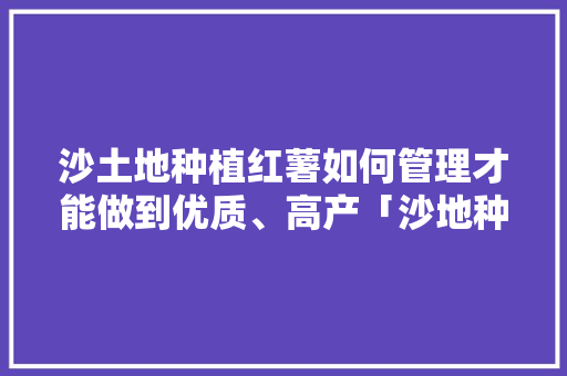 沙土地种植红薯如何管理才能做到优质、高产「沙地种植番茄怎么浇水视频」