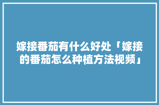 嫁接番茄有什么好处「嫁接的番茄怎么种植方法视频」 嫁接番茄有什么好处「嫁接的番茄怎么种植方法视频」 土壤施肥