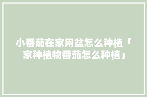 小番茄在家用盆怎么种植「家种植物番茄怎么种植」 小番茄在家用盆怎么种植「家种植物番茄怎么种植」 土壤施肥