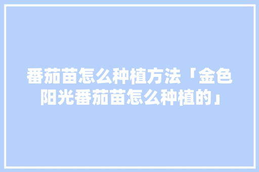 番茄苗怎么种植方法「金色阳光番茄苗怎么种植的」 番茄苗怎么种植方法「金色阳光番茄苗怎么种植的」 番茄病虫害防治