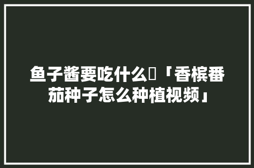 鱼子酱要吃什么魚「香槟番茄种子怎么种植视频」