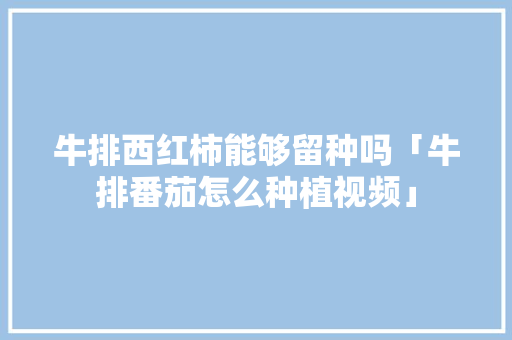牛排西红柿能够留种吗「牛排番茄怎么种植视频」 农业常识 牛排西红柿能够留种吗「牛排番茄怎么种植视频」 牛排西红柿能够留种吗「牛排番茄怎么种植视频」 农业常识