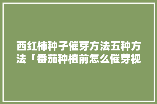 西红柿种子催芽方法五种方法「番茄种植前怎么催芽视频」