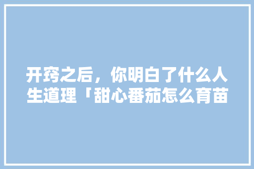 开窍之后，你明白了什么人生道理「甜心番茄怎么育苗种植视频」 开窍之后，你明白了什么人生道理「甜心番茄怎么育苗种植视频」 植物种类