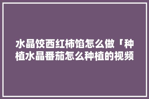 水晶饺西红柿馅怎么做「种植水晶番茄怎么种植的视频」