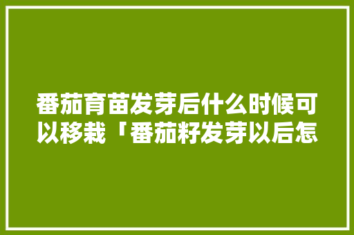 番茄育苗发芽后什么时候可以移栽「番茄籽发芽以后怎么种植视频」 番茄育苗发芽后什么时候可以移栽「番茄籽发芽以后怎么种植视频」 植物种类