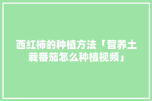 西红柿的种植方法「营养土栽番茄怎么种植视频」