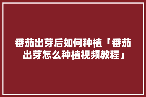 番茄出芽后如何种植「番茄出芽怎么种植视频教程」 番茄出芽后如何种植「番茄出芽怎么种植视频教程」 花朵知识