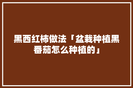 黑西红柿做法「盆栽种植黑番茄怎么种植的」