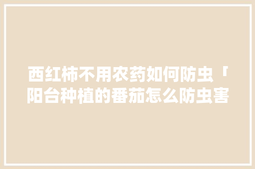 西红柿不用农药如何防虫「阳台种植的番茄怎么防虫害」