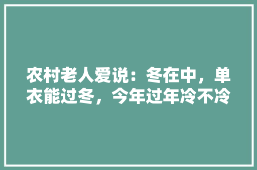 农村老人爱说：冬在中，单衣能过冬，今年过年冷不冷呢「酒酒归一是什么意思」 农村老人爱说：冬在中，单衣能过冬，今年过年冷不冷呢「酒酒归一是什么意思」 植物种类