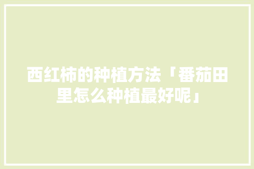 西红柿的种植方法「番茄田里怎么种植最好呢」 西红柿的种植方法「番茄田里怎么种植最好呢」 农业常识
