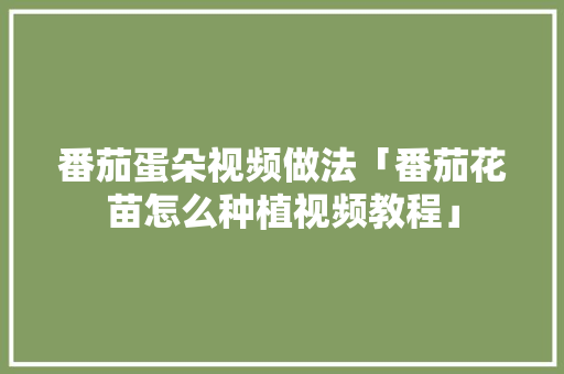 番茄蛋朵视频做法「番茄花苗怎么种植视频教程」 番茄种植技巧 番茄蛋朵视频做法「番茄花苗怎么种植视频教程」 番茄蛋朵视频做法「番茄花苗怎么种植视频教程」 番茄种植技巧