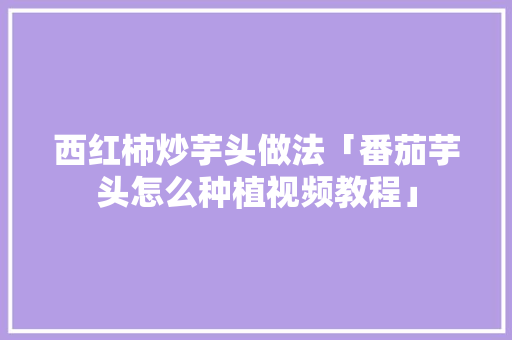 西红柿炒芋头做法「番茄芋头怎么种植视频教程」