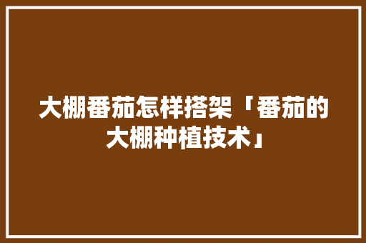 大棚番茄怎样搭架「番茄的大棚种植技术」 大棚番茄怎样搭架「番茄的大棚种植技术」 番茄种植技巧