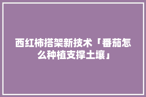 西红柿搭架新技术「番茄怎么种植支撑土壤」 西红柿搭架新技术「番茄怎么种植支撑土壤」 番茄病虫害防治
