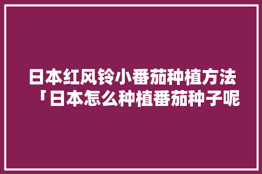 日本红风铃小番茄种植方法「日本怎么种植番茄种子呢视频」