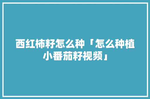 西红柿籽怎么种「怎么种植小番茄籽视频」 西红柿籽怎么种「怎么种植小番茄籽视频」 植物种类