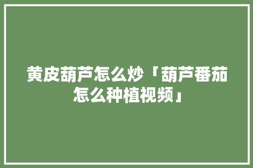 黄皮葫芦怎么炒「葫芦番茄怎么种植视频」